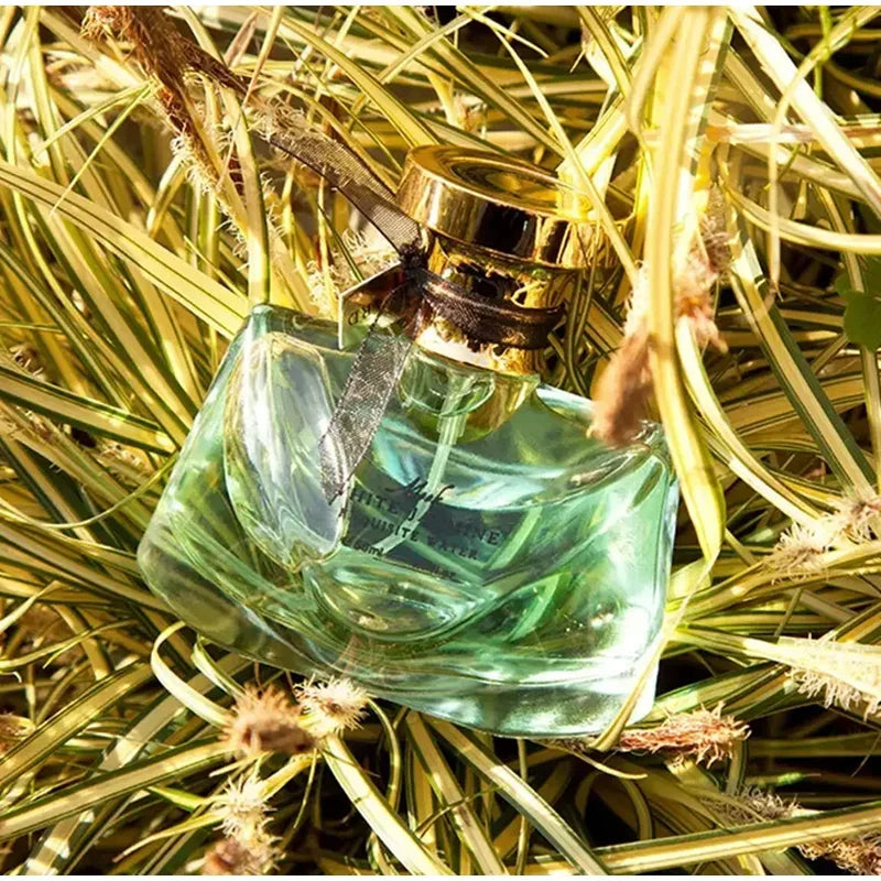 بخاخ عطر ياسمين طبيعي منعش للاستخدام اليومي | Jasmine Perfume Spray Fresh Natural Floral Daily Wear